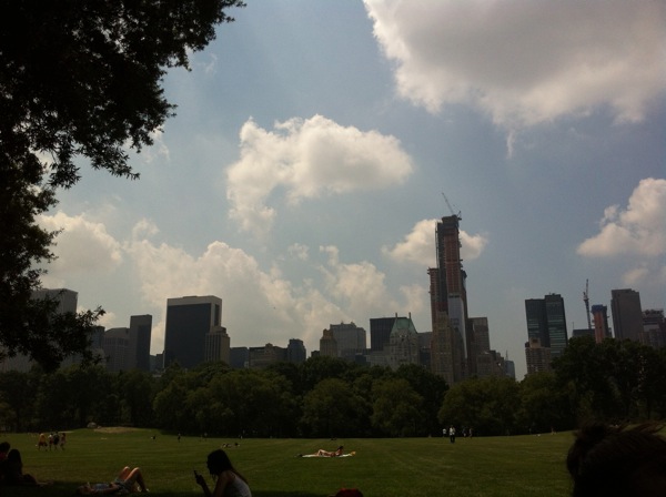 IMG_0443.jpg IMG 0443