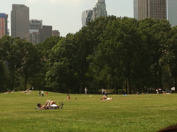 IMG_0444.jpg IMG 0444