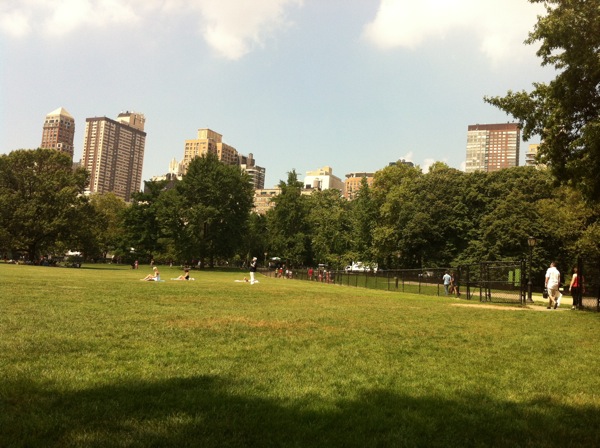 IMG_0445.JPG IMG 0445