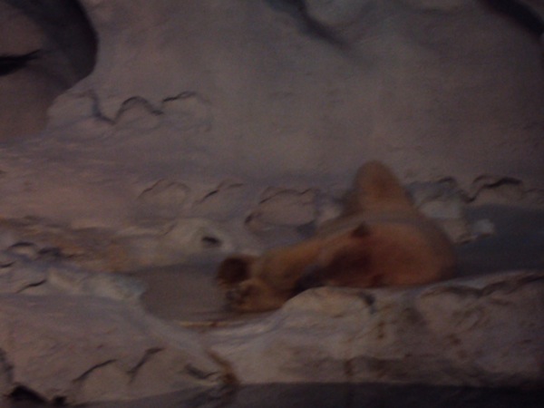 Fibromyalgia and Fitness: Changing Seasons