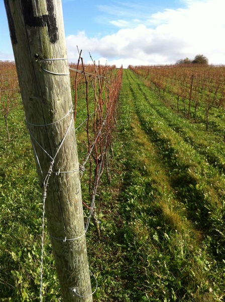 IMG_1222.jpg IMG 1222