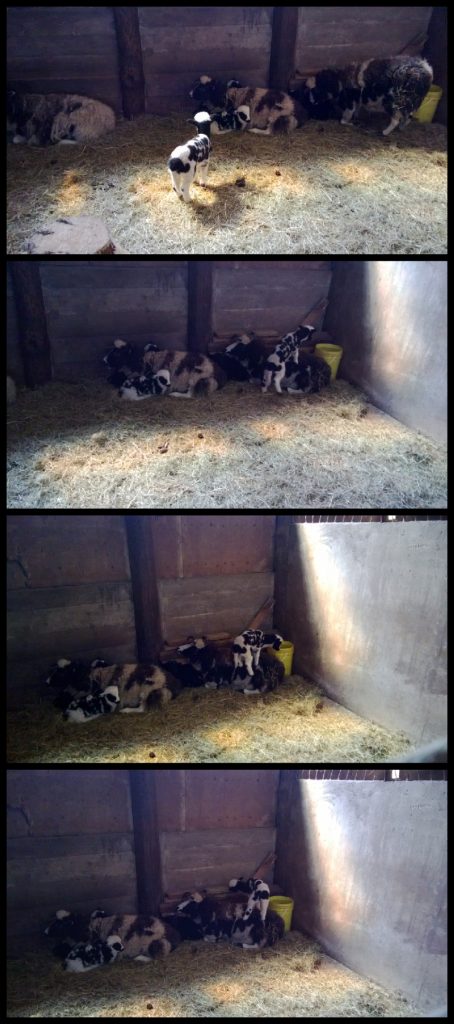 4_12_2013 10_18_31 PM_jpg