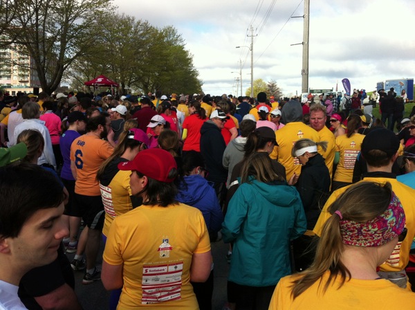 IMG_3296.JPG IMG 3296