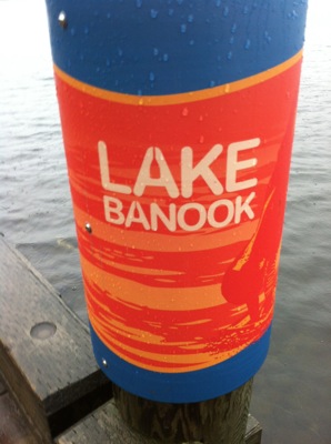 IMG_3774.jpg IMG 3774