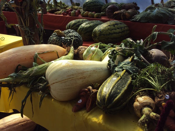 open group.JPG open group