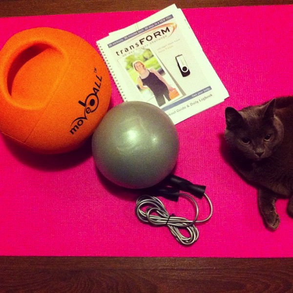 assessment.jpg assessment