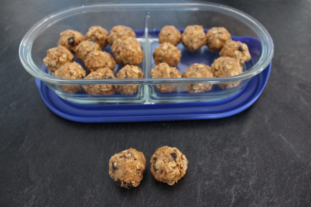 Choco-Coco Peanut Butter Snack Bites