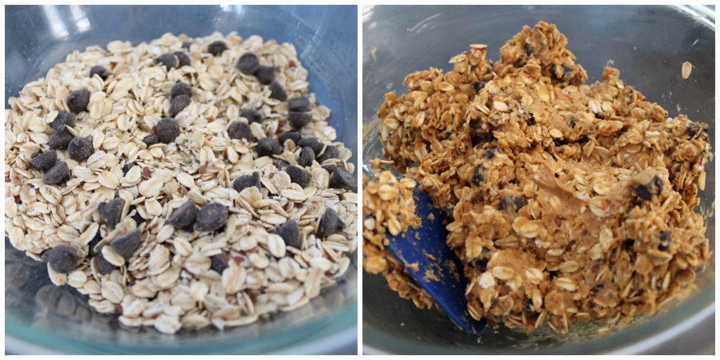 Choco-Coco Peanut Butter Snack Bites