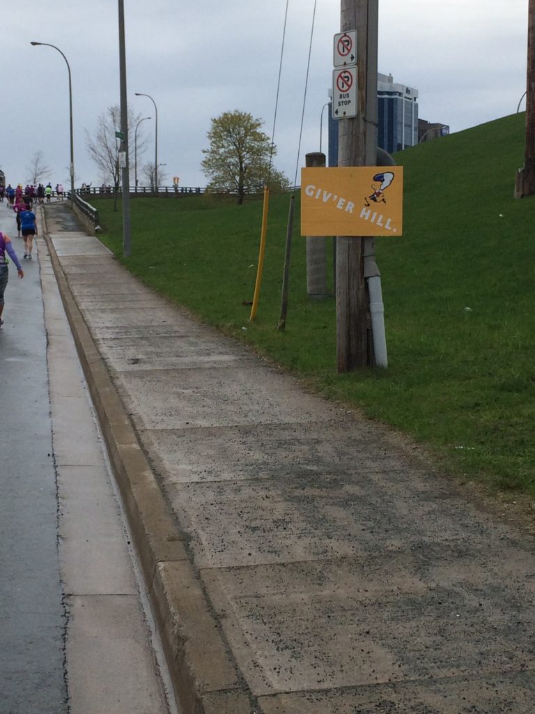 Photo 2015-05-17, 9 16 36 AM