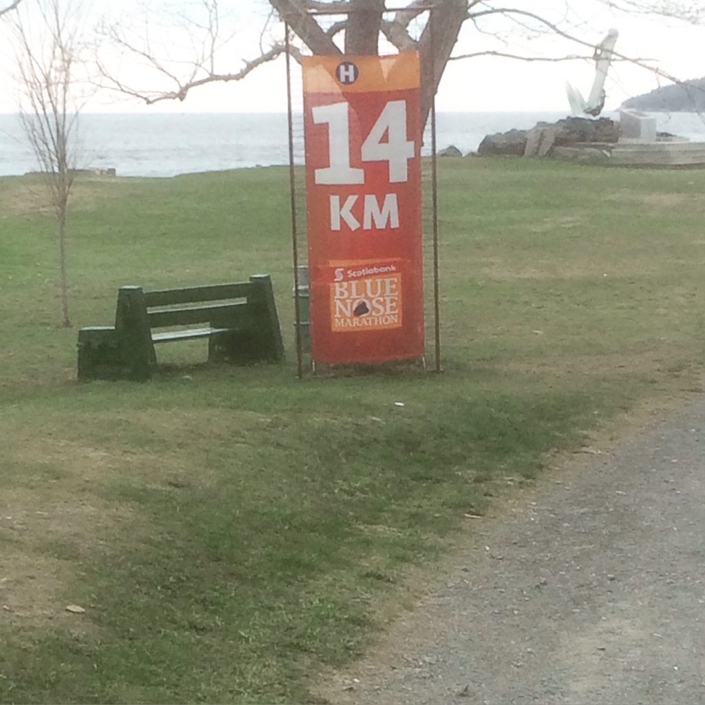 Photo 2015-05-17, 9 52 19 AM