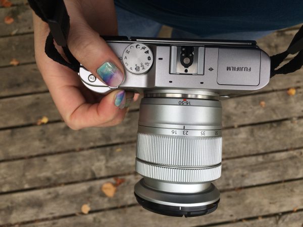 Missing The Forest For The Trees