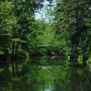 What does Self-Care mean to you? It doens't have to be all spa days and massages. There are lots of things we can do daily for self-care.